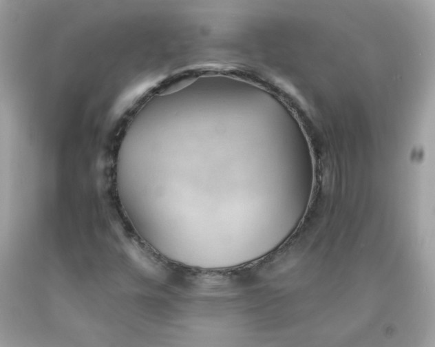X0000091571448200709051028