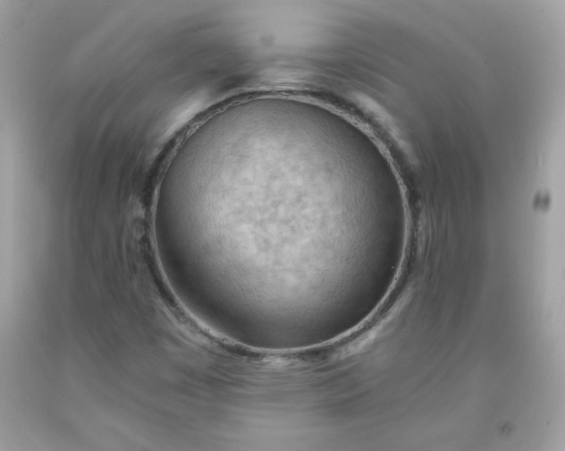 X0000091571449200709051028