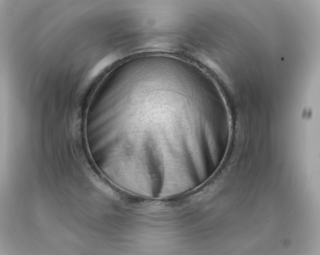 X0000091571450200709051028