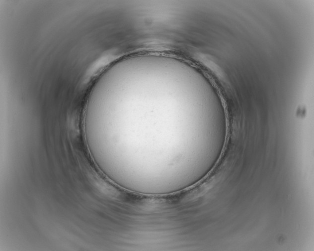 X0000091571451200709051028