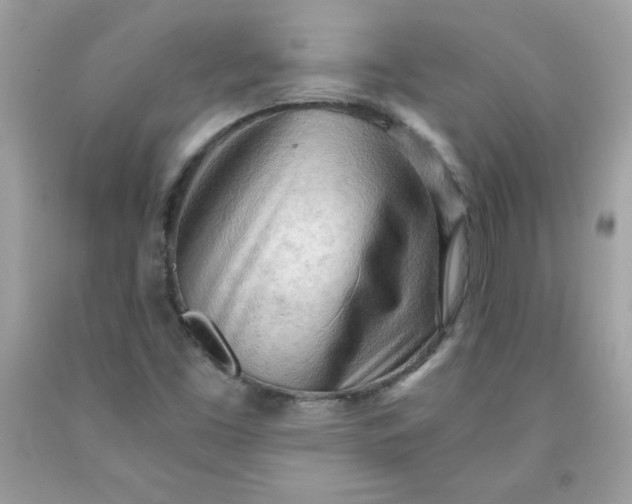 X0000091571453200709051028