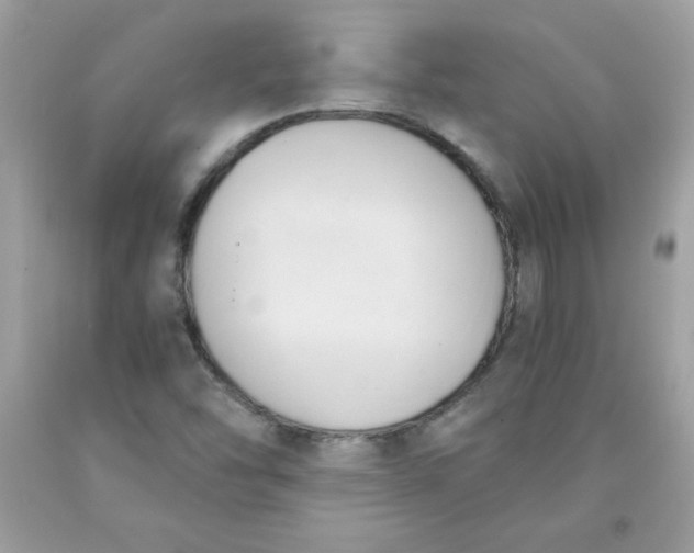 X0000091571454200709051028