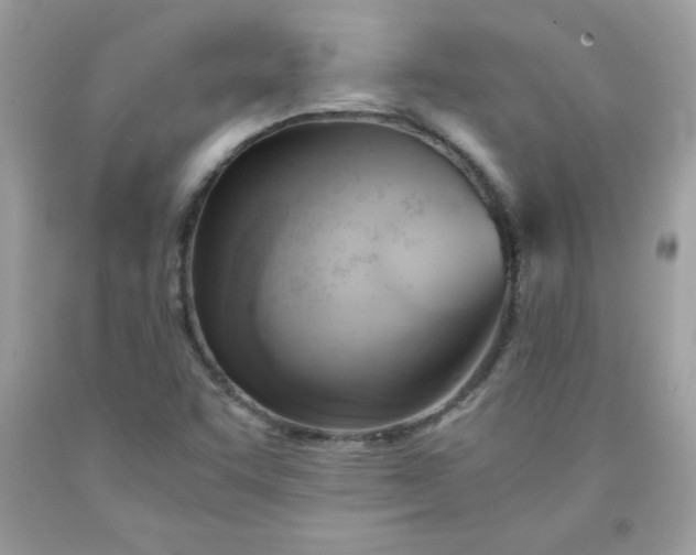 X0000091571455200709051028