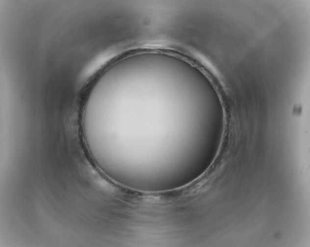 X0000091571456200709051028