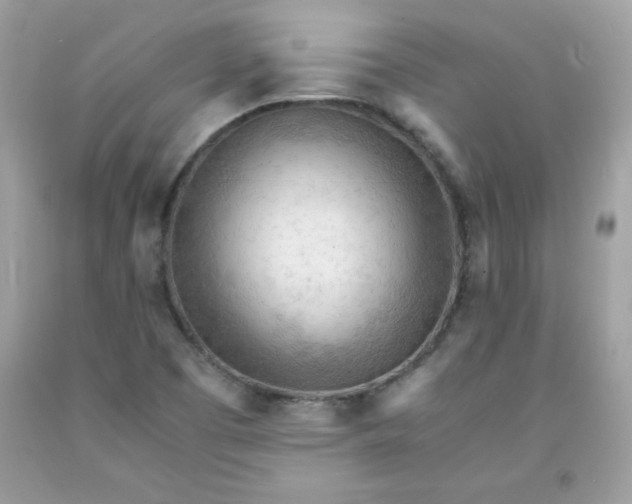 X0000091571457200709051028