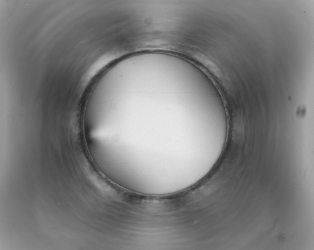 X0000091571458200709051028