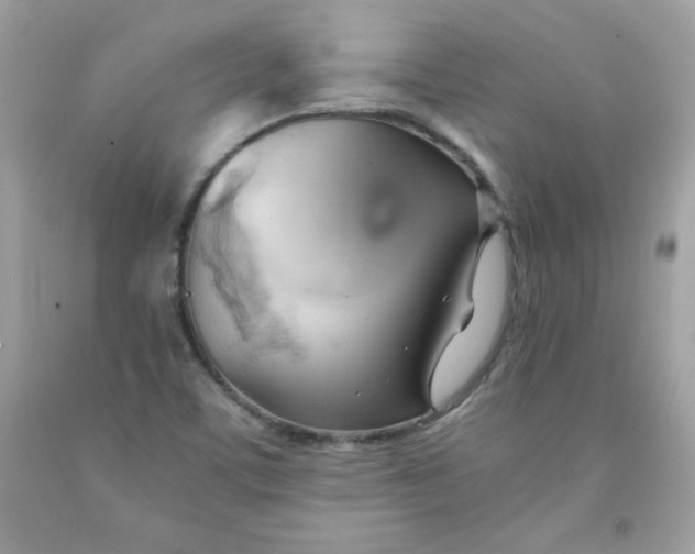 X0000091571459200709051028