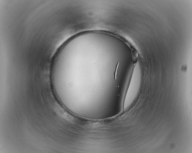 X0000091571460200709051028