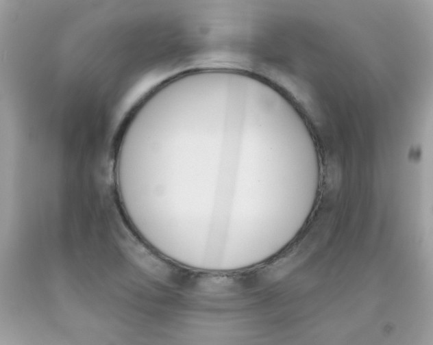 X0000091571462200709051028