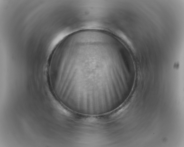 X0000091571463200709051028