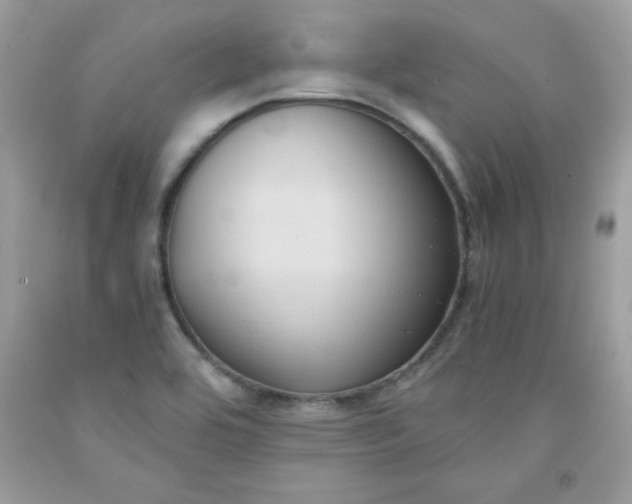 X0000091571464200709051028
