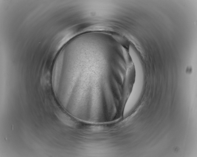 X0000091571465200709051028