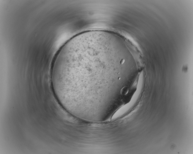 X0000091571469200709051028