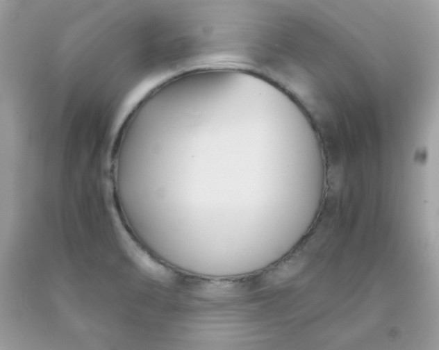 X0000091571470200709051028