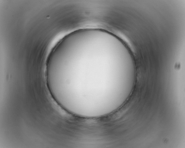 X0000091571472200709051028