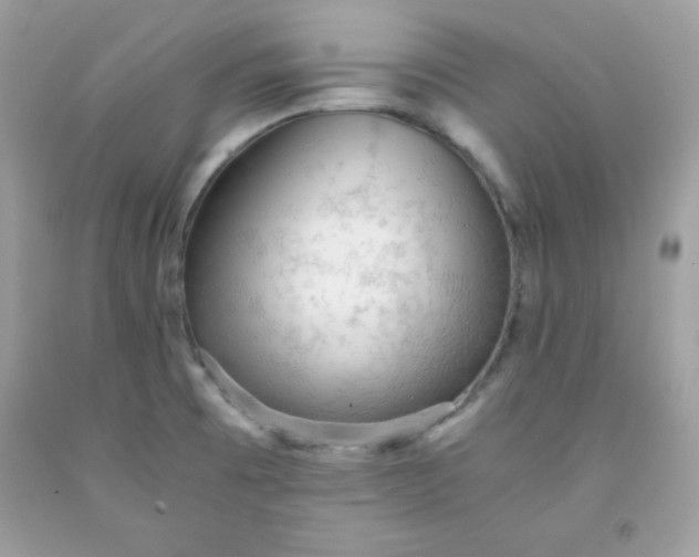 X0000091571473200709051028