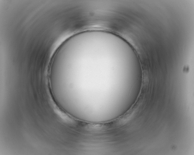 X0000091571474200709051028