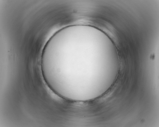 X0000091571478200709051028