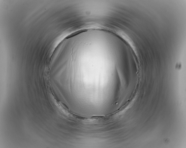 X0000091571481200709051028