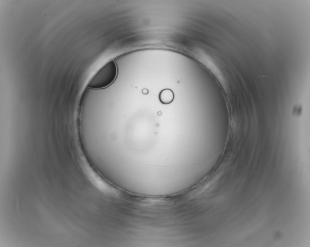 X0000091571482200709051028