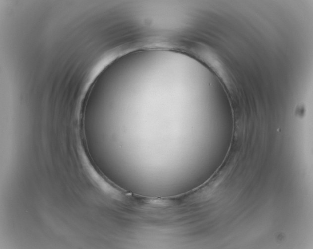 X0000091571483200709051028