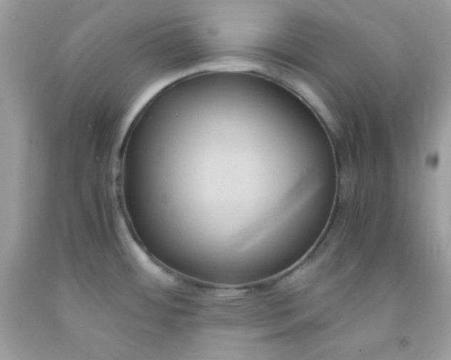 X0000091571484200709051028