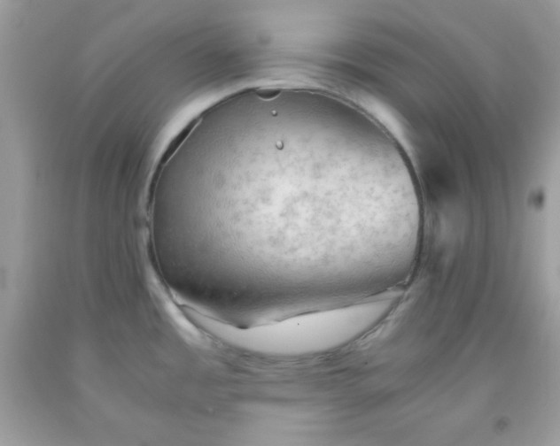 X0000091571485200709051028