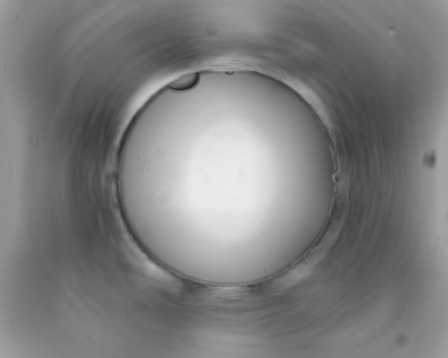 X0000091571486200709051028