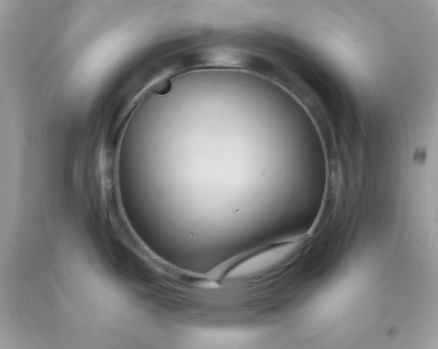 X0000091571487200709051028