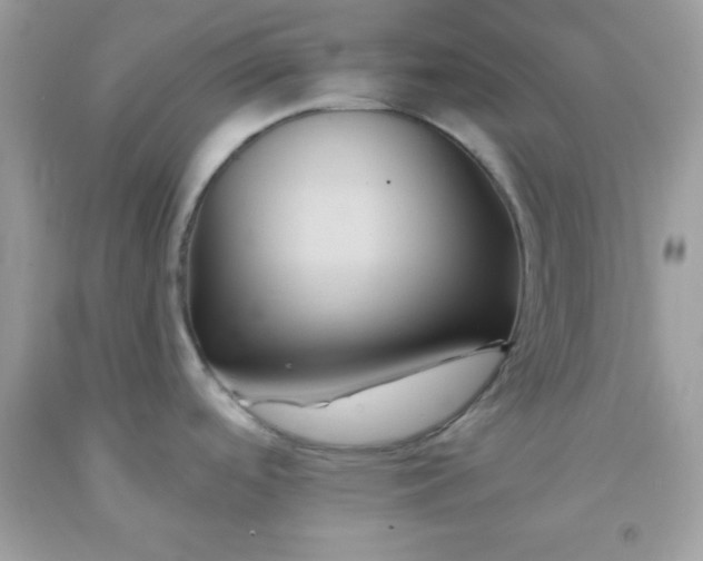 X0000091571488200709051028