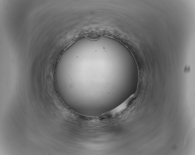 X0000091571489200709051027