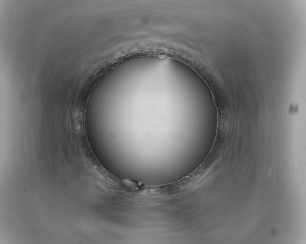 X0000091571490200709051027