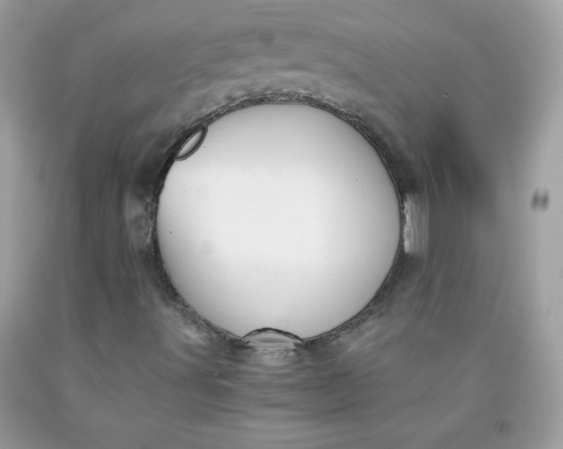 X0000091571491200709051027