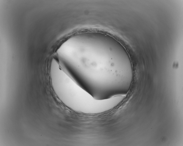 X0000091571494200709051027