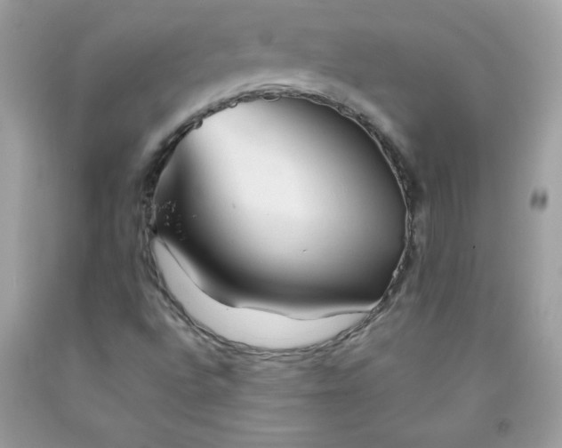 X0000091571496200709051027