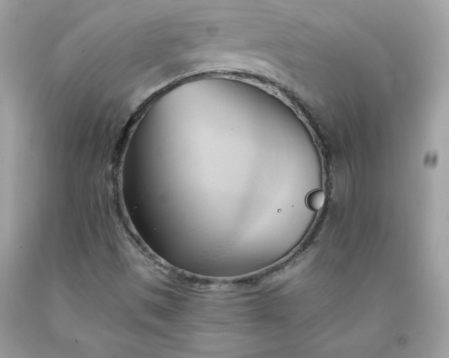 X0000091571497200709051027