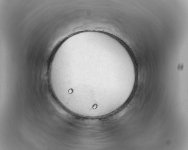 X0000091571498200709051027