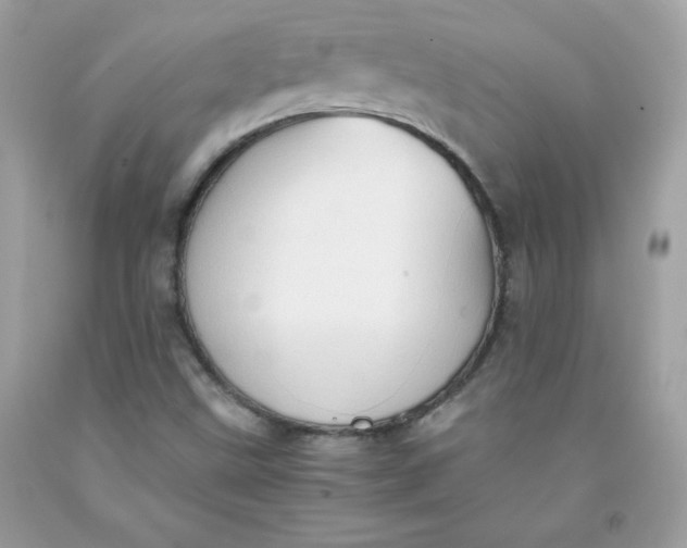 X0000091571499200709051027
