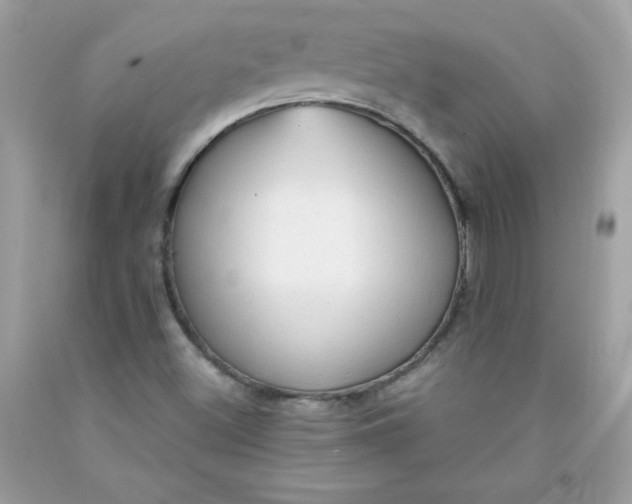 X0000091571500200709051027