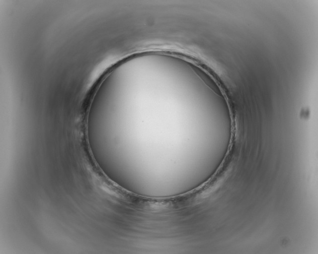 X0000091571501200709051027