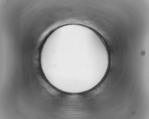 X0000091571502200709051027