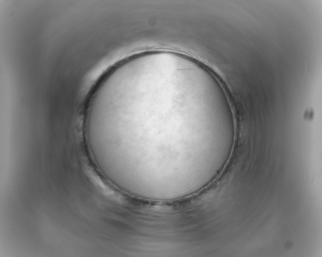 X0000091571503200709051027