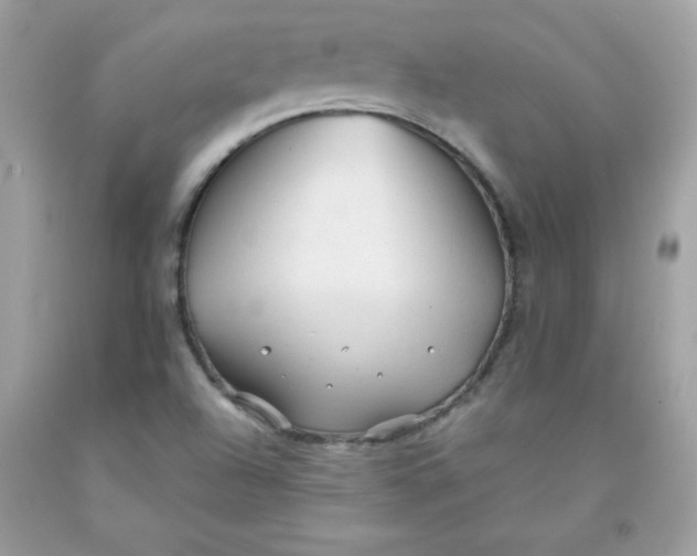 X0000091571504200709051027