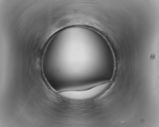 X0000091571505200709051027