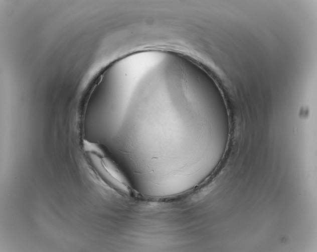 X0000091571506200709051027