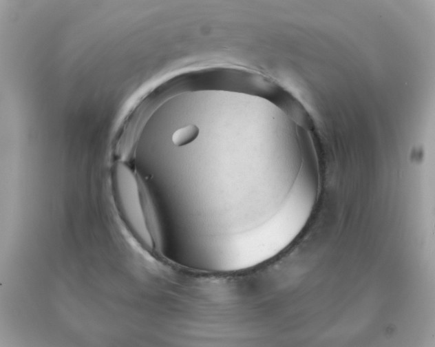 X0000091571508200709051027