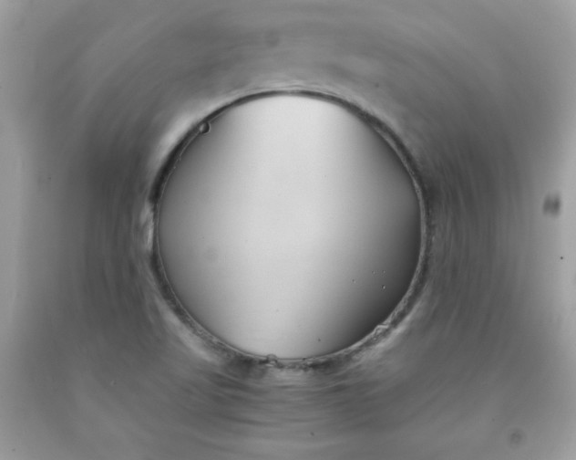 X0000091571509200709051027