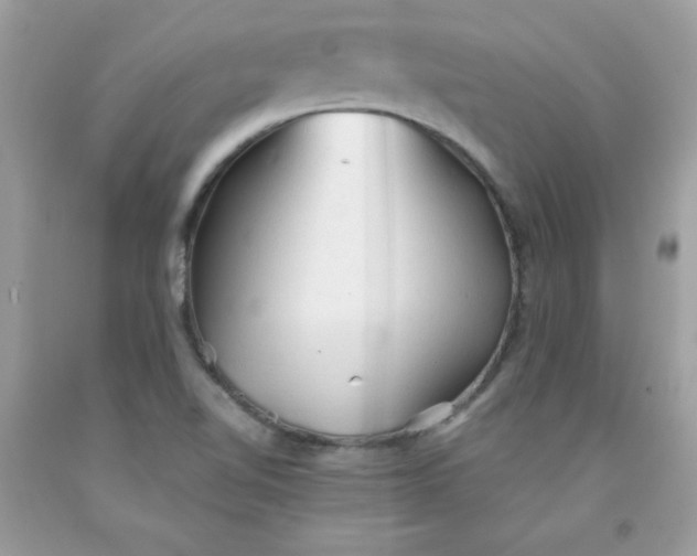 X0000091571510200709051027