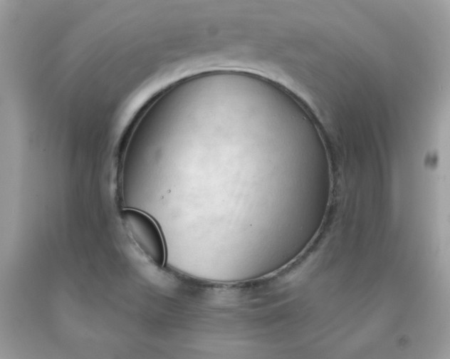 X0000091571511200709051027
