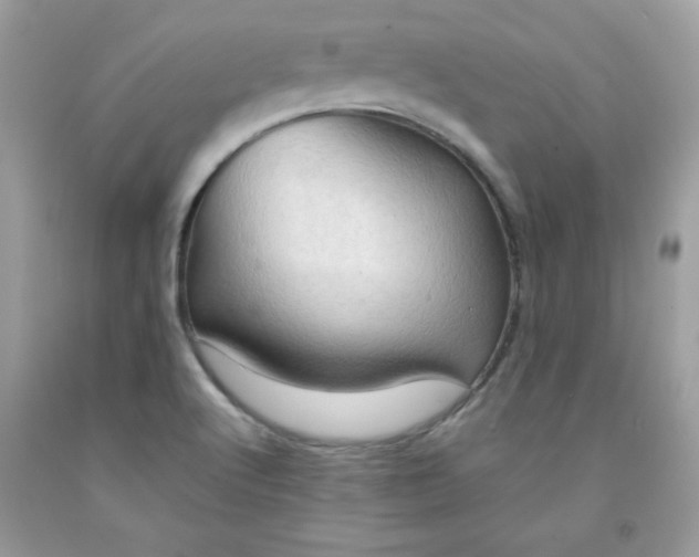 X0000091571512200709051027